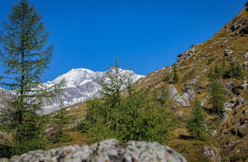Z czego słynie Poronin
