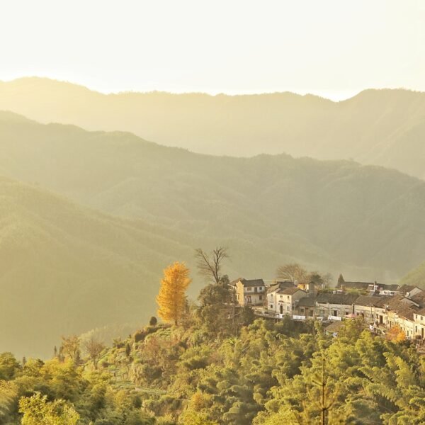 Jak dojechać z Zakopanego do Sky Walk Poronin