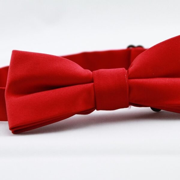 Niebieski garnitur jaka muszka