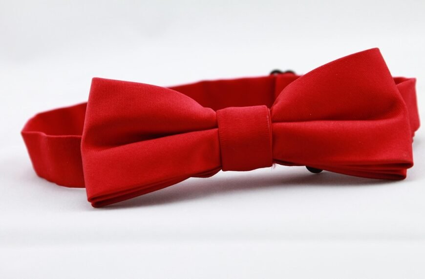 Niebieski garnitur jaka muszka