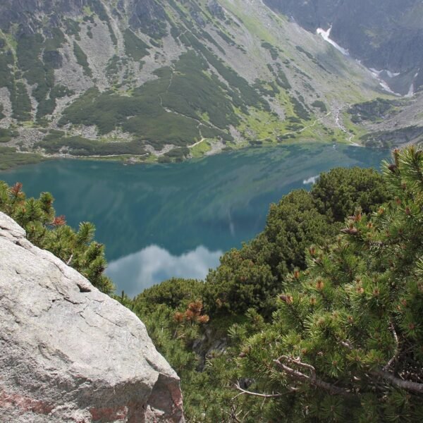 Poronin gdzie zjeść